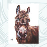 Georgina McMasters - Beth